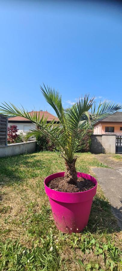 Maison Piscine Villa Saint-Amarin Dış mekan fotoğraf