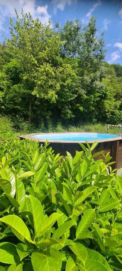 Maison Piscine Villa Saint-Amarin Dış mekan fotoğraf