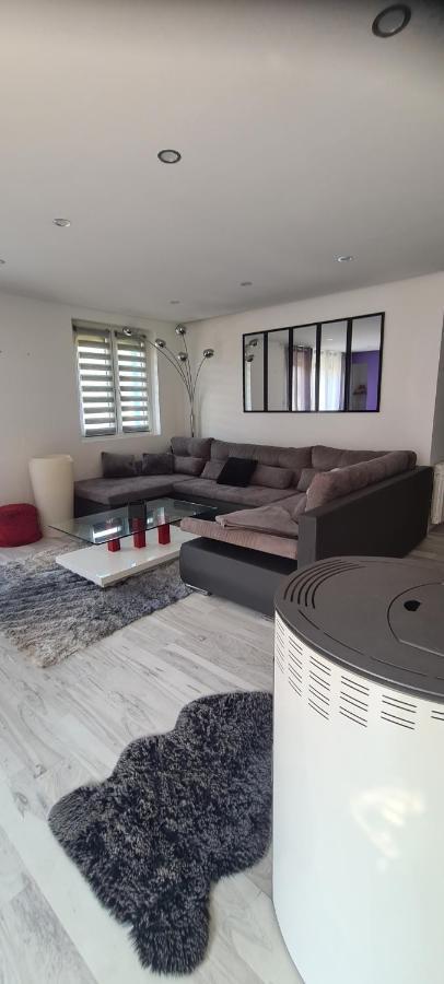 Maison Piscine Villa Saint-Amarin Dış mekan fotoğraf
