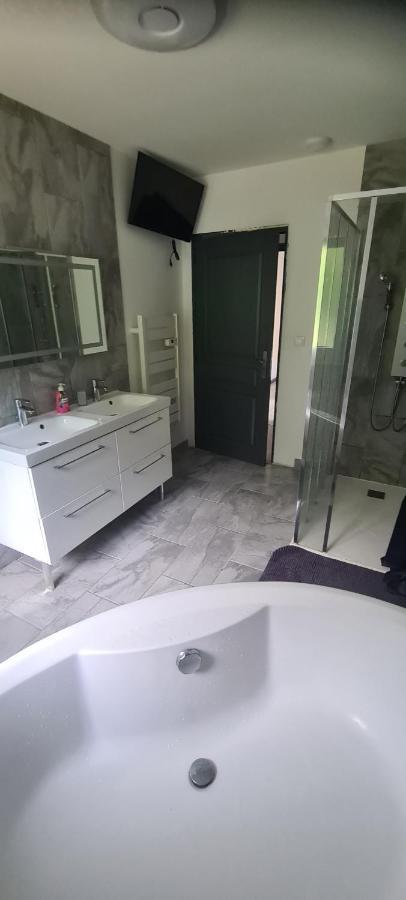 Maison Piscine Villa Saint-Amarin Dış mekan fotoğraf