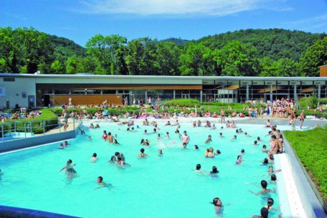 Maison Piscine Villa Saint-Amarin Dış mekan fotoğraf